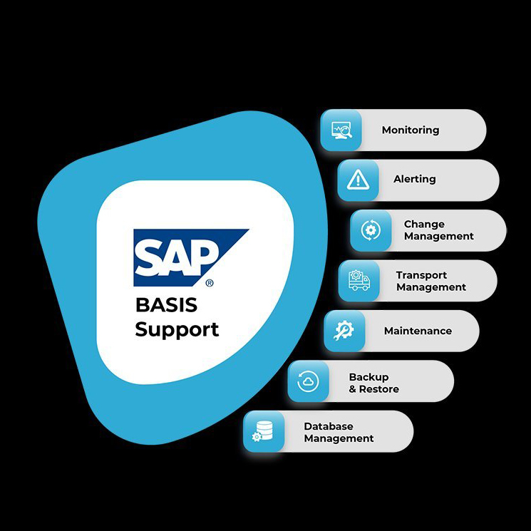 Basis Support