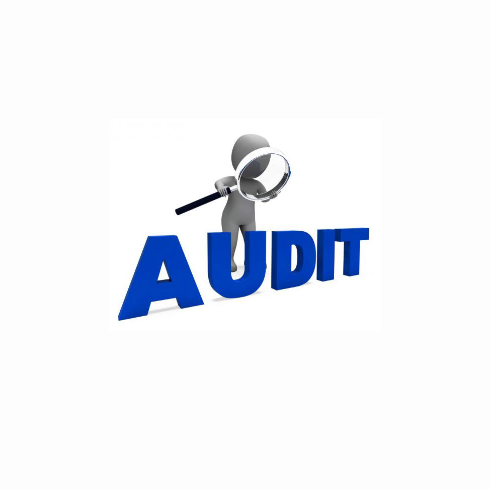 ERP System Audits