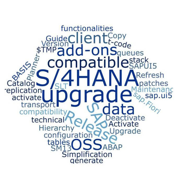 SAP Upgrade & Support
